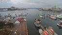 ./images/victoria/wharf/20191105/wharf20191105_124956.jpg