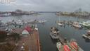 ./images/victoria/wharf/20191105/wharf20191105_125459.jpg