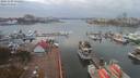 ./images/victoria/wharf/20191105/wharf20191105_131450.jpg