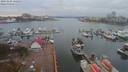 ./images/victoria/wharf/20191105/wharf20191105_135451.jpg