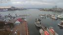 ./images/victoria/wharf/20191105/wharf20191105_140458.jpg