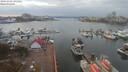 ./images/victoria/wharf/20191105/wharf20191105_141454.jpg