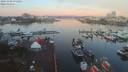 ./images/victoria/wharf/20191106/wharf20191106_071451.jpg