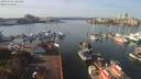 ./images/victoria/wharf/20191106/wharf20191106_122455.jpg