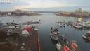 ./images/victoria/wharf/20191107/wharf20191107_075455.jpg