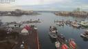 ./images/victoria/wharf/20191107/wharf20191107_081949.jpg