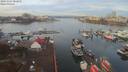 ./images/victoria/wharf/20191107/wharf20191107_082955.jpg