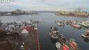 ./images/victoria/wharf/20191107/wharf20191107_091453.jpg