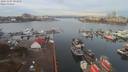 ./images/victoria/wharf/20191107/wharf20191107_091955.jpg