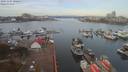 ./images/victoria/wharf/20191107/wharf20191107_100452.jpg