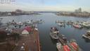 ./images/victoria/wharf/20191107/wharf20191107_101458.jpg