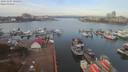 ./images/victoria/wharf/20191107/wharf20191107_101951.jpg
