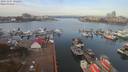 ./images/victoria/wharf/20191107/wharf20191107_102455.jpg