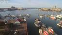./images/victoria/wharf/20191107/wharf20191107_105955.jpg