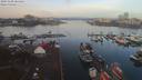 ./images/victoria/wharf/20191108/wharf20191108_084456.jpg