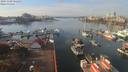 ./images/victoria/wharf/20191108/wharf20191108_121451.jpg