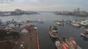 ./images/victoria/wharf/20191108/wharf20191108_140955.jpg