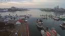 ./images/victoria/wharf/20191108/wharf20191108_142957.jpg