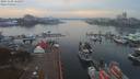 ./images/victoria/wharf/20191108/wharf20191108_162956.jpg
