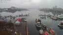 ./images/victoria/wharf/20191109/wharf20191109_081451.jpg