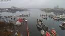 ./images/victoria/wharf/20191109/wharf20191109_081954.jpg