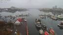 ./images/victoria/wharf/20191109/wharf20191109_082457.jpg