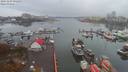 ./images/victoria/wharf/20191109/wharf20191109_092453.jpg