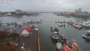 ./images/victoria/wharf/20191109/wharf20191109_094456.jpg