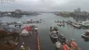 ./images/victoria/wharf/20191109/wharf20191109_095452.jpg