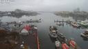 ./images/victoria/wharf/20191109/wharf20191109_102450.jpg
