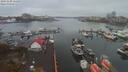 ./images/victoria/wharf/20191109/wharf20191109_111952.jpg