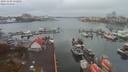 ./images/victoria/wharf/20191109/wharf20191109_112455.jpg