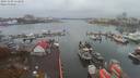 ./images/victoria/wharf/20191109/wharf20191109_112958.jpg