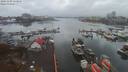 ./images/victoria/wharf/20191109/wharf20191109_113954.jpg
