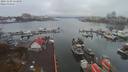./images/victoria/wharf/20191109/wharf20191109_114949.jpg