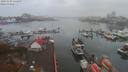 ./images/victoria/wharf/20191109/wharf20191109_134959.jpg
