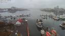 ./images/victoria/wharf/20191109/wharf20191109_140950.jpg