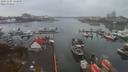 ./images/victoria/wharf/20191109/wharf20191109_145950.jpg