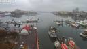 ./images/victoria/wharf/20191109/wharf20191109_151449.jpg