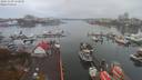 ./images/victoria/wharf/20191109/wharf20191109_152958.jpg