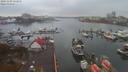./images/victoria/wharf/20191109/wharf20191109_153954.jpg