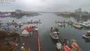 ./images/victoria/wharf/20191109/wharf20191109_154458.jpg