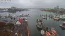 ./images/victoria/wharf/20191109/wharf20191109_154950.jpg