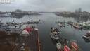 ./images/victoria/wharf/20191109/wharf20191109_161455.jpg