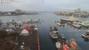 ./images/victoria/wharf/20191110/wharf20191110_093957.jpg