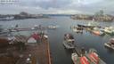 ./images/victoria/wharf/20191110/wharf20191110_122958.jpg