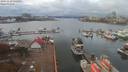 ./images/victoria/wharf/20191110/wharf20191110_131957.jpg