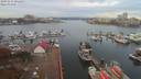 ./images/victoria/wharf/20191111/wharf20191111_091452.jpg