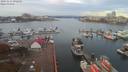 ./images/victoria/wharf/20191111/wharf20191111_092458.jpg