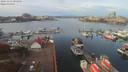 ./images/victoria/wharf/20191111/wharf20191111_104455.jpg